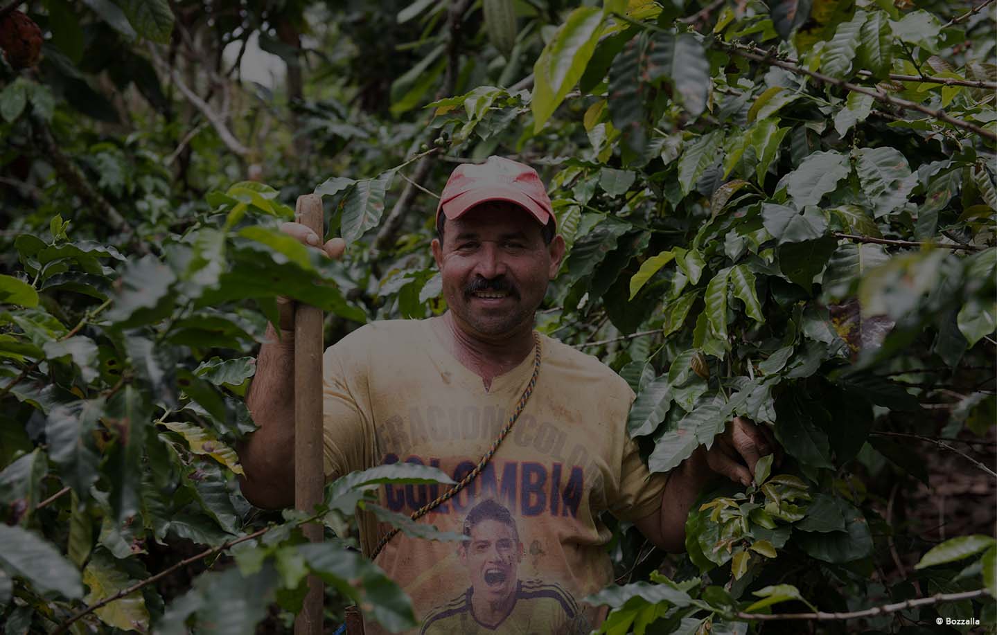 Tradizione e tecnologia del caffè in Colombia